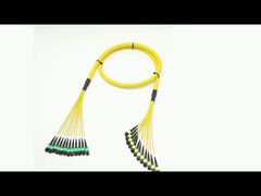 144F MTP MPO Fanout Cable SMG657A1 MPO APC to MPO APC Breakout Fiber Optic Patch Cord 