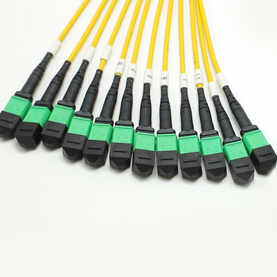 Düşük Kayıplı MPO Fanout Kablo Büyük Mültecilik Çekirdek 1M 144F SMG657A1 MPO APC'ye MPO APC Breakout Fiber Optic Patch Cord