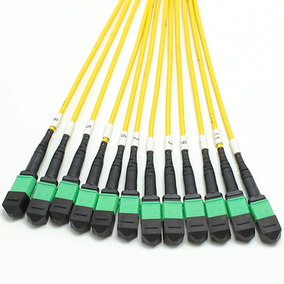 100G 200G MPO Erkek Kadın 8 12 16 24 Küçük alanlarda yüksek yoğunluklu kablolama için MPO'ya Fiber to Female Male Fiber Optic Patch Cord