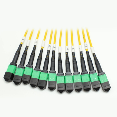 100G 200G MPO Erkek Kadın 8 12 16 24 Küçük alanlarda yüksek yoğunluklu kablolama için MPO'ya Fiber to Female Male Fiber Optic Patch Cord